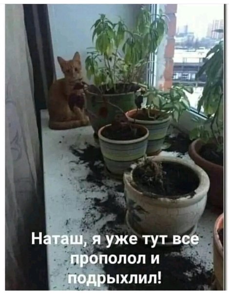 file_103373883