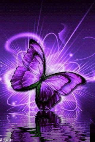file_76606881