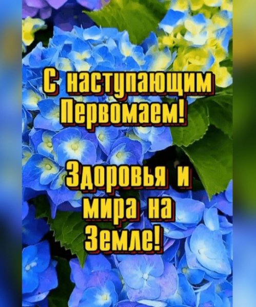 IMG 20260430 165158