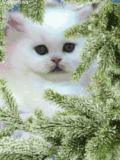 file_58799830