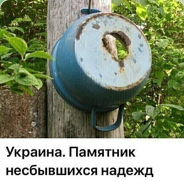 IMG 20260207 030227 095