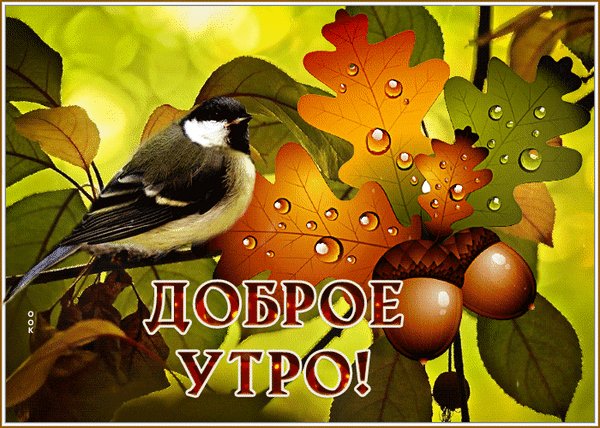 Анимированная открытка доброе утро