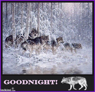 GOODNIGHT!