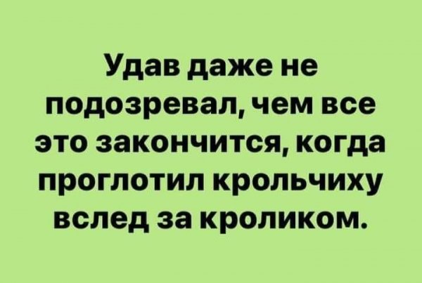 Удав даже не подозревал