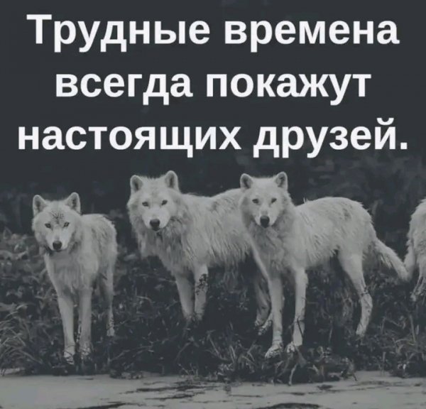 IMG 20260221 131621