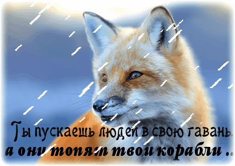 file_74917689