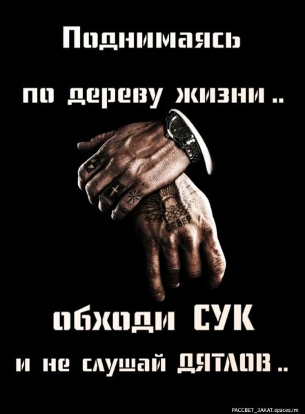 FB IMG 16947525462275630-