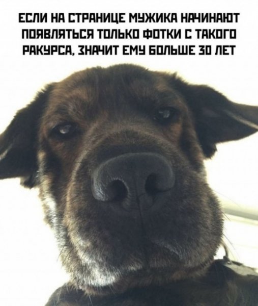 file_103229131