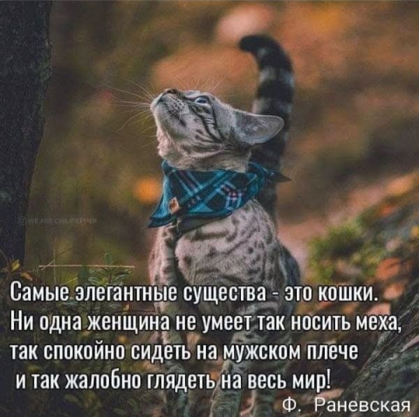 IMG 20260227 084144
