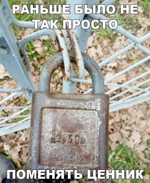 file_100917223