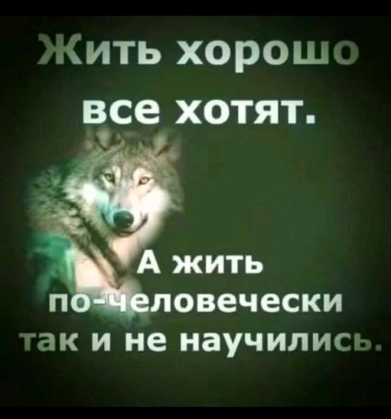 file_100856726