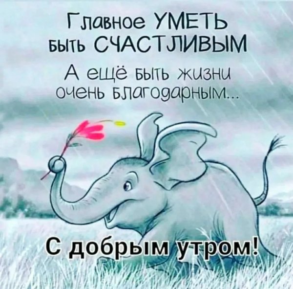 IMG-20260401-WA0001