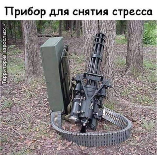 file_79399256