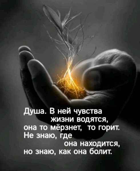 file_100985373