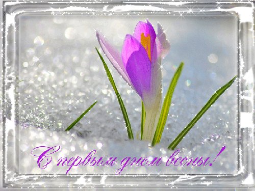 file_92899404