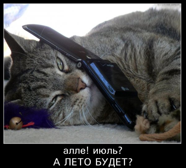 прикольные-открытки-на-тему-времена-года-прикольные-про-лето-