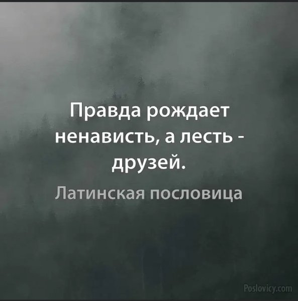 file_99003699