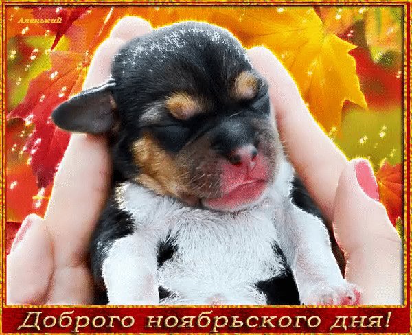 file_75359265