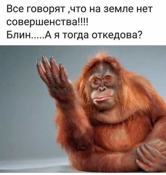 IMG 20181020 150404