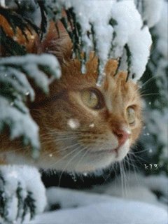 file_53822699