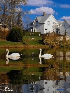file_59089441