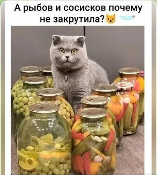 IMG 20260821 072550