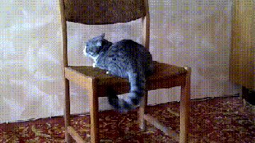 Когда шило в одном месте..