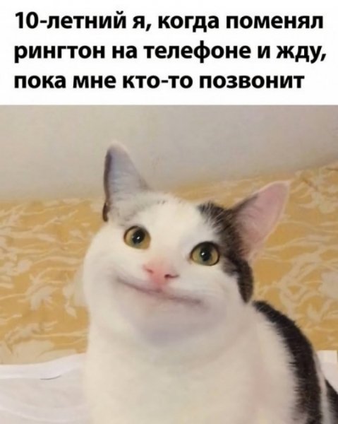 file_103416909