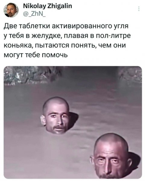 file_101206505