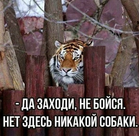file_100736443