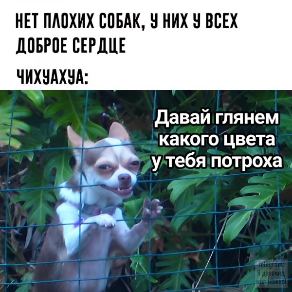 IMG 20250805 102019 747