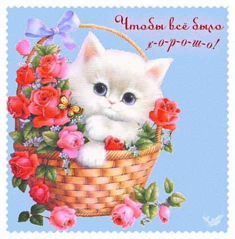 Открытка с пожеланием 3