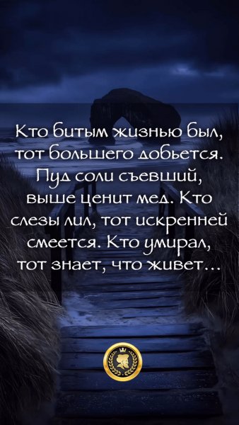 IMG 20251014 201106
