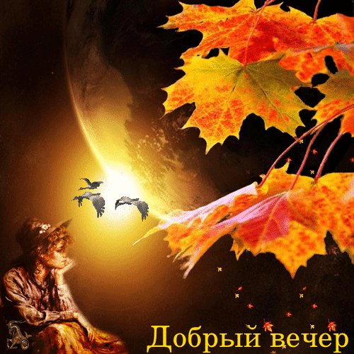 добрый вечер 084077