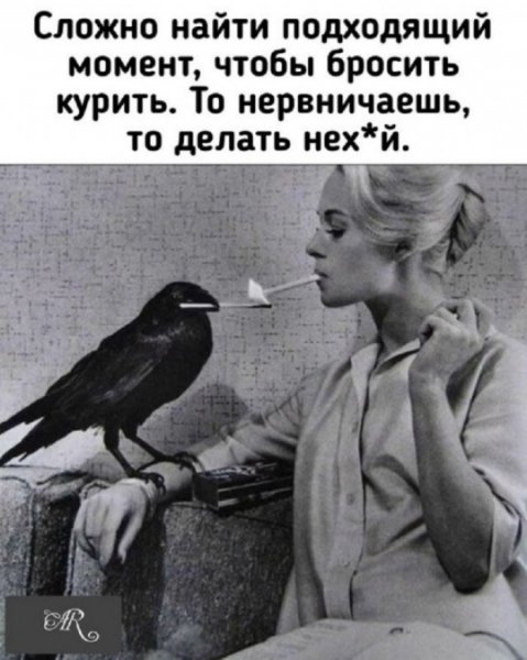 file_103322427