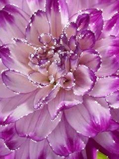 file_64278743