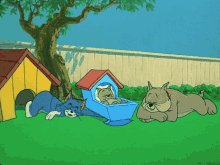 Tom-and-jerry (5)
