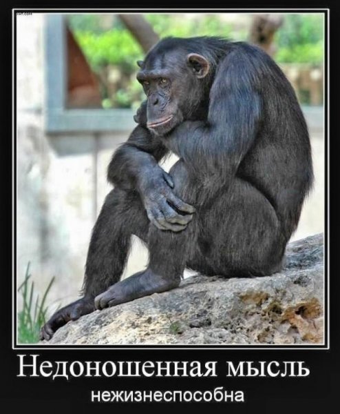 Недоношенная мысль
