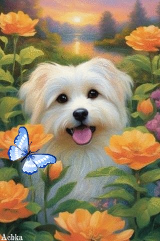 file_96850953