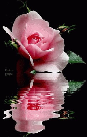 Keefers Flowers2029