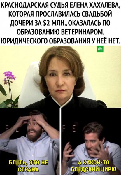 smeshnye-kartinki-s-nadpisjami-3