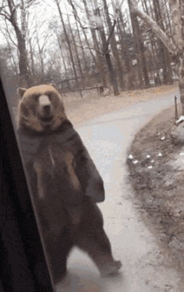 Спешу на автобус