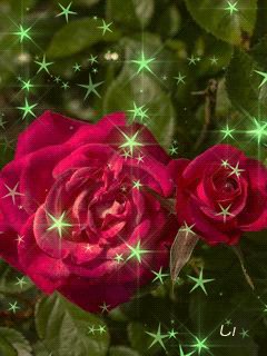 file_68850953