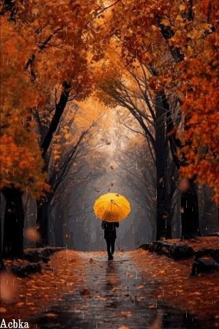 file_94851902