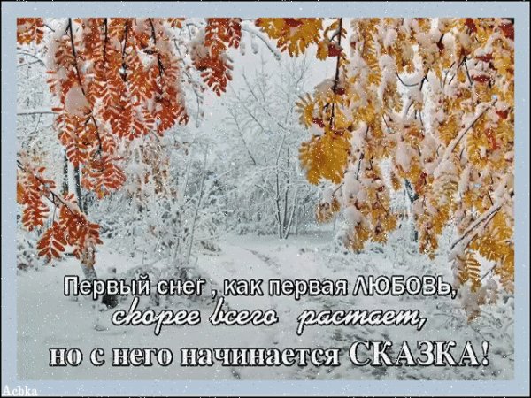 file_94894221
