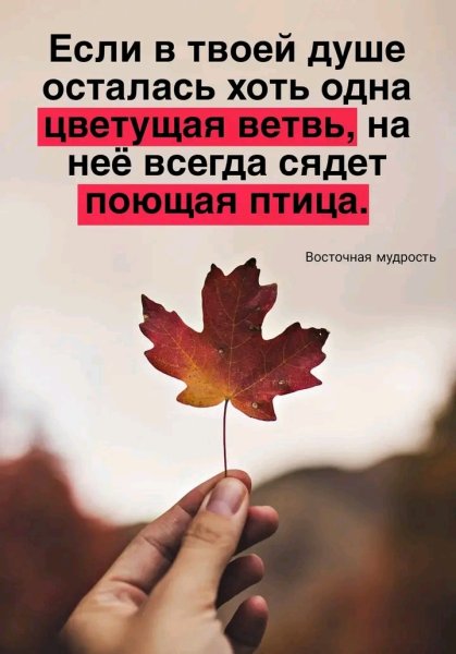 file_95608069