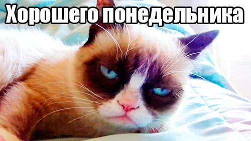 file_78556054