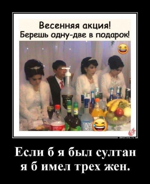 Если б я был султан, я б имел трёх жен