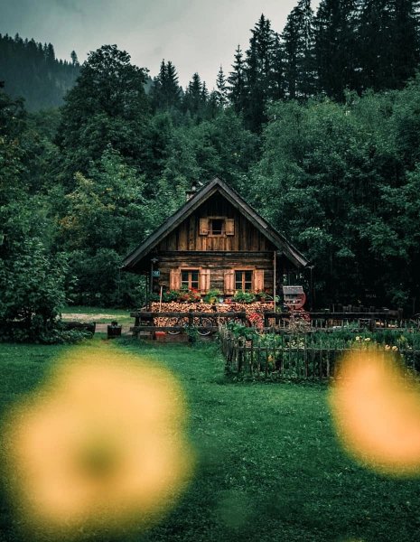 file_97092070