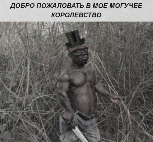 IMG 20260522 231654 662